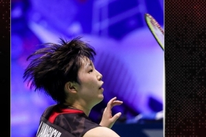 的广泛讨论 的广泛讨论